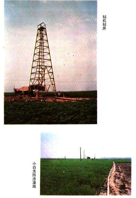 《《任县水利志》》.pdf电子版_河北省志预览图5