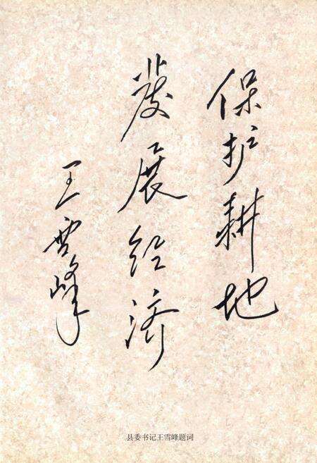 《邯郸县土地志》.pdf电子版_河北省志预览图3