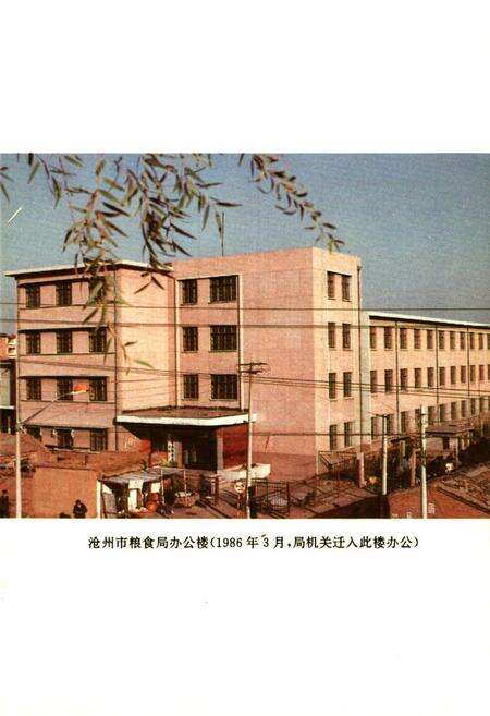 《沧州市粮食志》.pdf电子版_河北省志预览图2