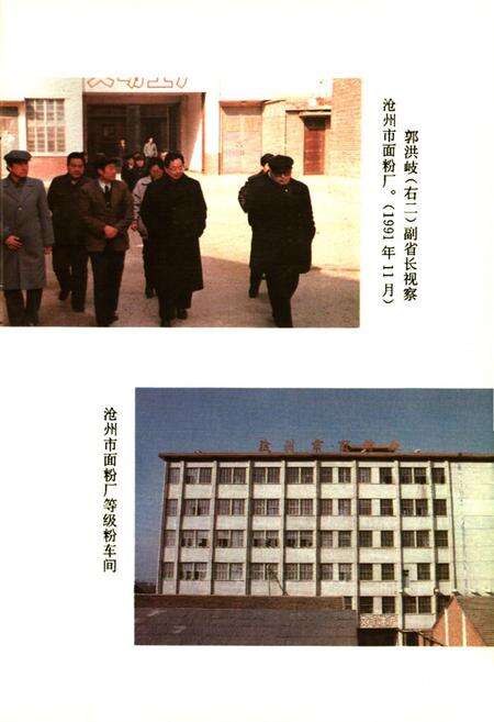 《沧州市粮食志》.pdf电子版_河北省志预览图4