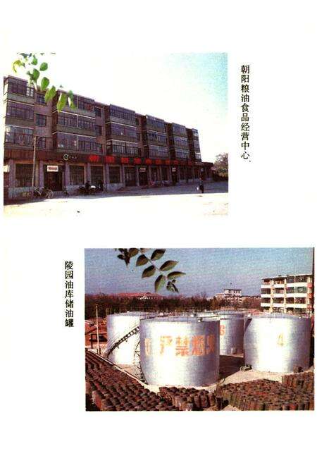 《沧州市粮食志》.pdf电子版_河北省志预览图5