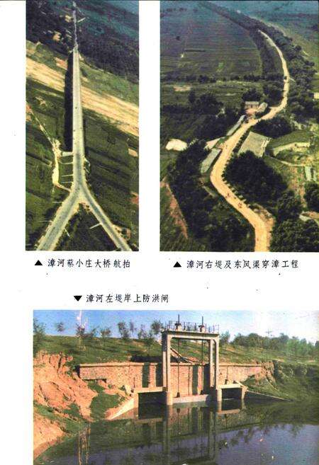 《《魏县水利志》》.pdf电子版_河北省志预览图5