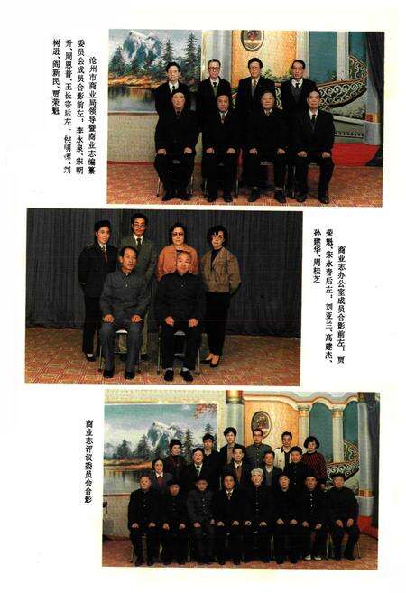 《沧州市商业志》.pdf电子版_河北省志预览图3