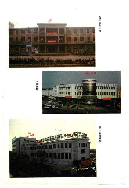 《沧州市商业志》.pdf电子版_河北省志预览图4