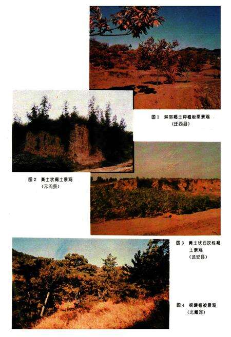 《河北土种志》.pdf电子版_河北省志预览图2