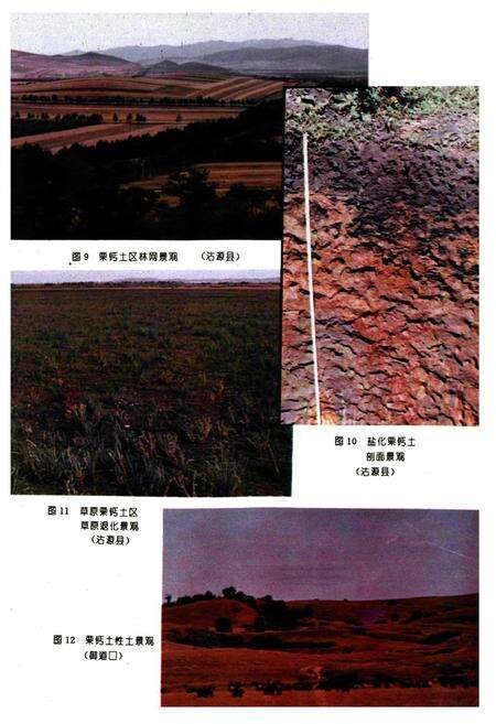《河北土种志》.pdf电子版_河北省志预览图4