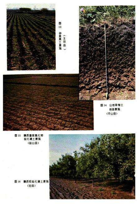 《河北土种志》.pdf电子版_河北省志预览图5