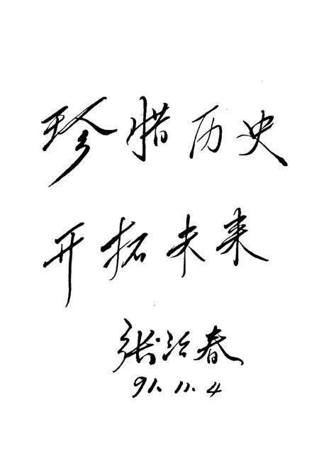 《《吴桥县杂技简志》》.pdf电子版_河北省志预览图3