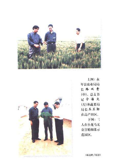 《永年百年大事志(1901-2000)》.pdf电子版_河北省志预览图3