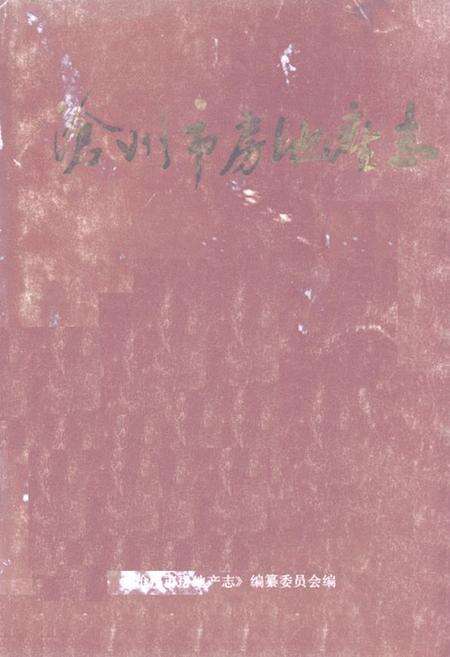 《《沧州市房地产志》》.pdf电子版_河北省志缩略图