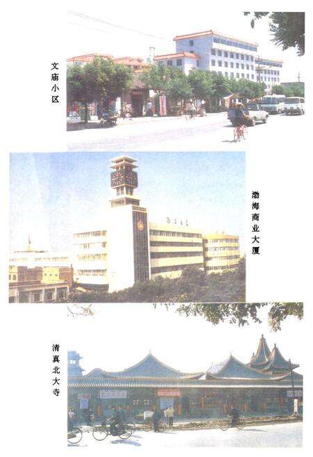 《《沧州市房地产志》》.pdf电子版_河北省志预览图3