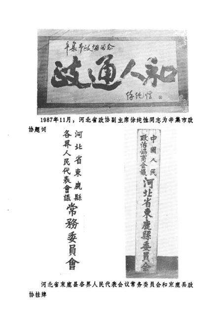 《《辛集市政协志(1949.11-1989.12)》》.pdf电子版_河北省志预览图4