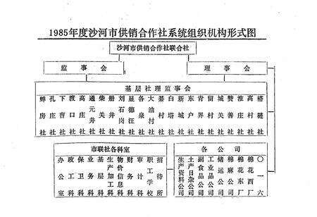 《沙河市供销社志》.pdf电子版_河北省志预览图5