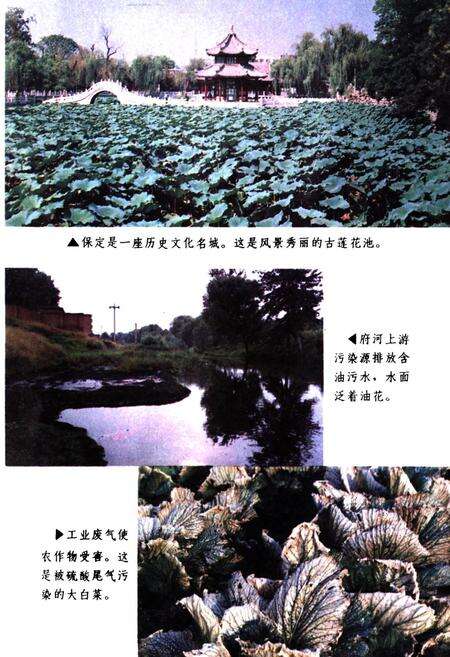 《《保定市环境保护志》》.pdf电子版_河北省志预览图5