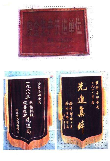 《黄骅邮电志》.pdf电子版_河北省志预览图3