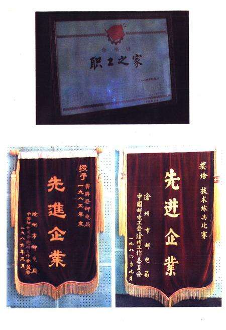 《黄骅邮电志》.pdf电子版_河北省志预览图4