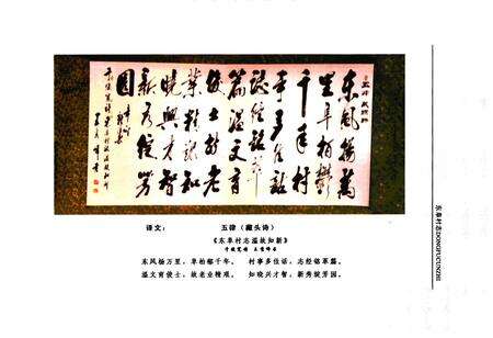 《《东阜村志》》.pdf电子版_河北省志预览图2