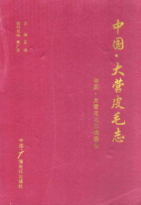 《中国·大营皮毛志》.pdf电子版_河北省志缩略图