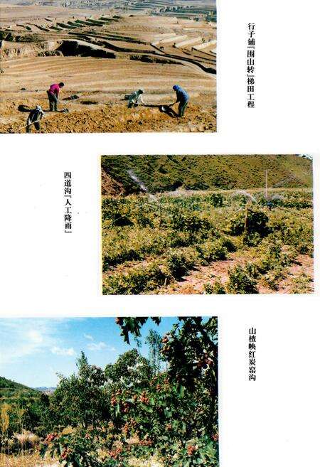 《《赤城县水利志》》.pdf电子版_河北省志预览图3