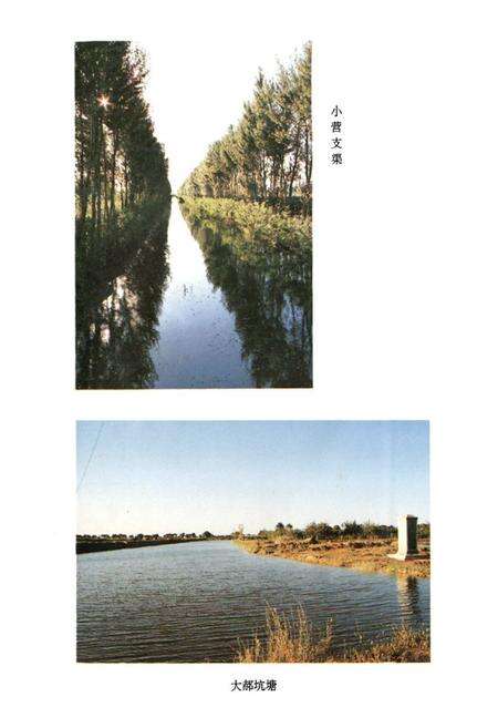 《《盐山县水利志》》.pdf电子版_河北省志预览图5