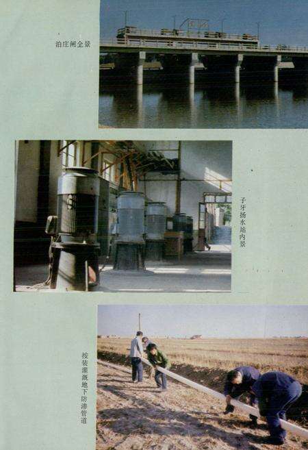 《大城县水利志》.pdf电子版_河北省志预览图3