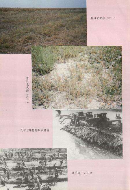 《大城县水利志》.pdf电子版_河北省志预览图4