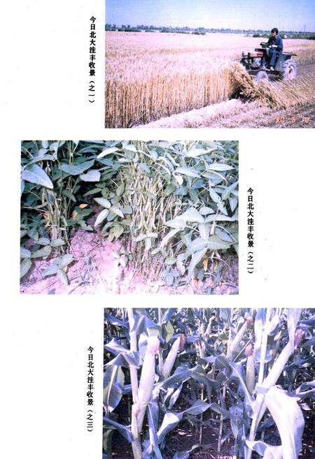 《大城县水利志》.pdf电子版_河北省志预览图5