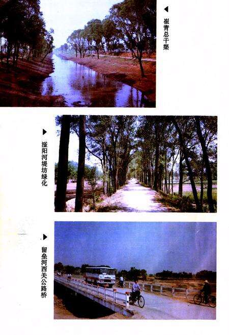 《鸡泽县水利志》.pdf电子版_河北省志预览图3