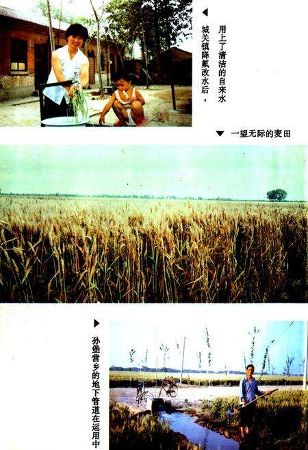 《鸡泽县水利志》.pdf电子版_河北省志预览图5