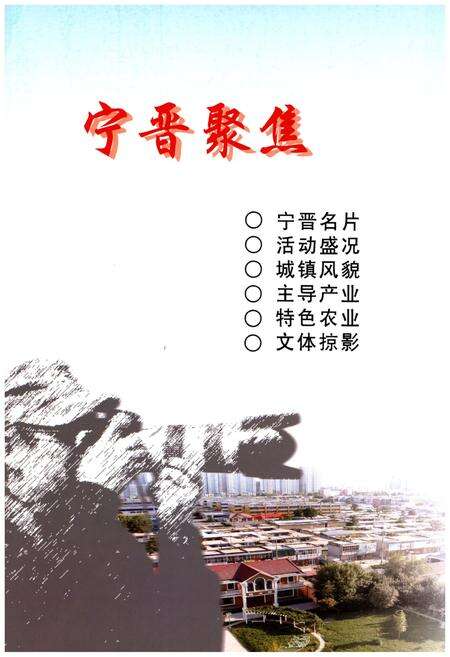 《宁晋县志(1979-2008)》.pdf电子版_河北省志预览图3
