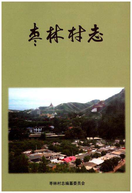 《枣林村志》.pdf电子版_河北省志缩略图