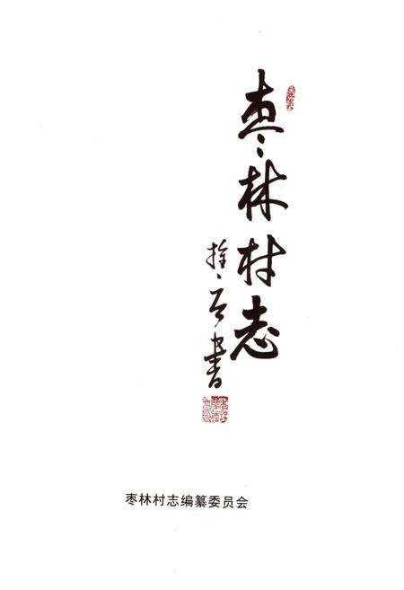 《枣林村志》.pdf电子版_河北省志预览图1