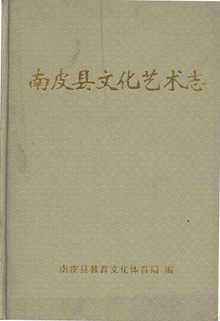 《南皮县文化艺术志》.pdf电子版_河北省志缩略图