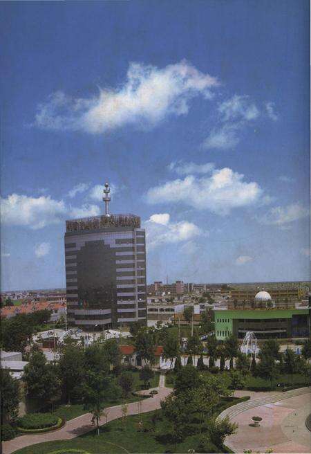 《宁晋县政协史志（1956.2-2006.12）》.pdf电子版_河北省志预览图2