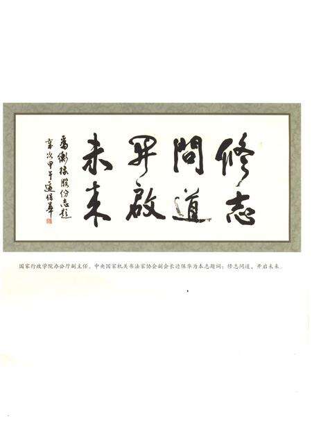 《衡水橡胶股份有限公司1954-2014》.pdf电子版_河北省志预览图4