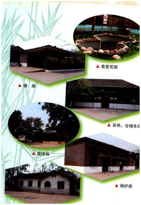 《北京铁路局石家庄物资供应段志 1939-2007》.pdf电子版_河北省志预览图4