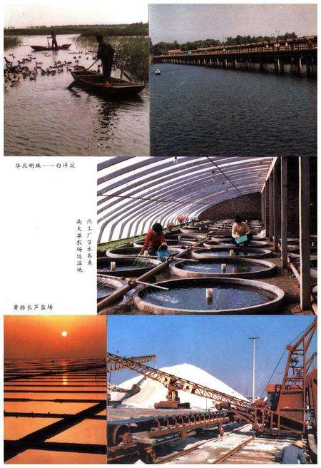 《沧州地区科学技术志》.pdf电子版_河北省志预览图5