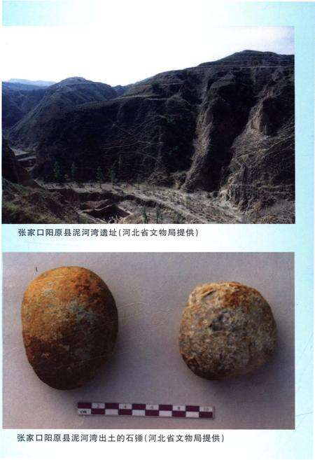 《河北经济史 第一卷》.pdf电子版_河北省志预览图4
