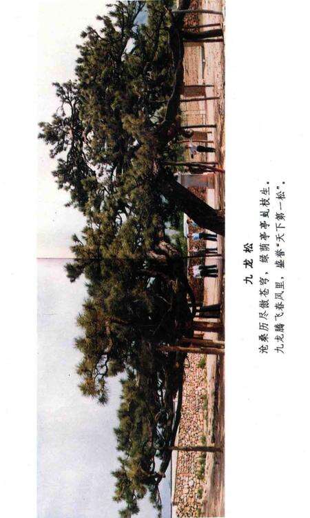《丰宁满族自治县地方志丛书  丰宁旅游大观》.pdf电子版_河北省志预览图3