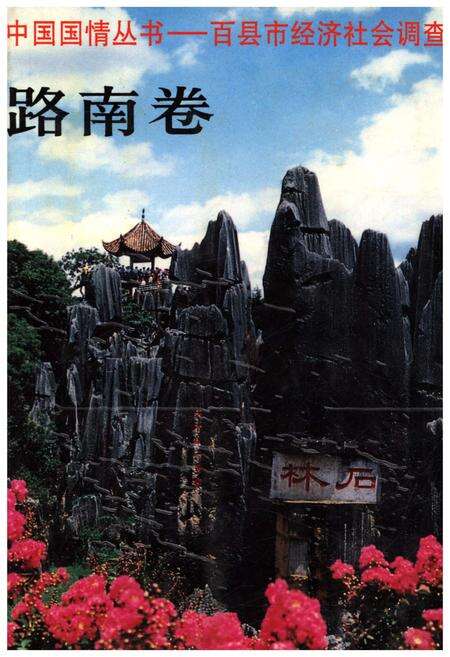 《中国国情丛书 百县市经济社会调查 路南卷》.pdf电子版_河北省志缩略图