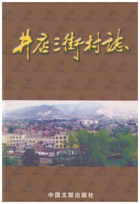 《井店三街村志》.pdf电子版_河北省志缩略图
