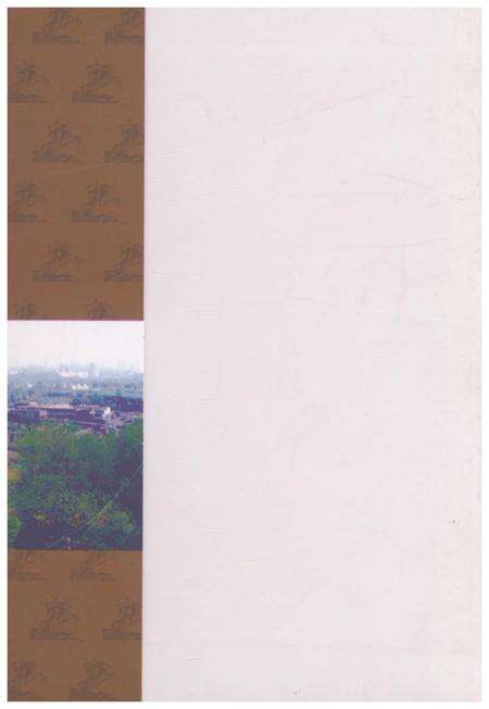 《井店三街村志》.pdf电子版_河北省志预览图1