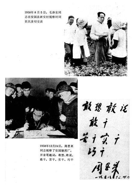 《祁州中药志》.pdf电子版_河北省志预览图4