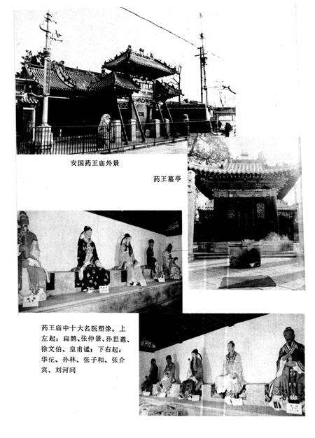 《祁州中药志》.pdf电子版_河北省志预览图5