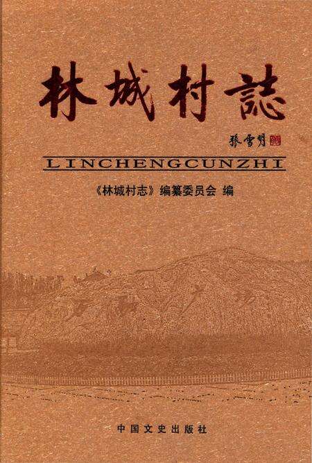 《林城村志》.pdf电子版_河北省志缩略图