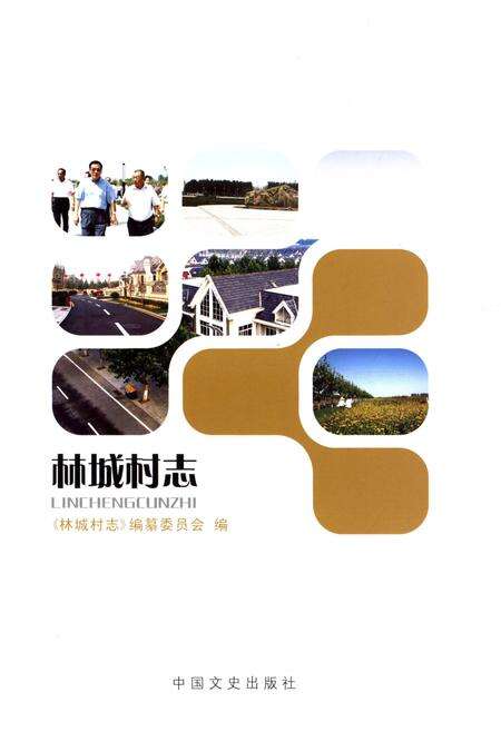 《林城村志》.pdf电子版_河北省志预览图2