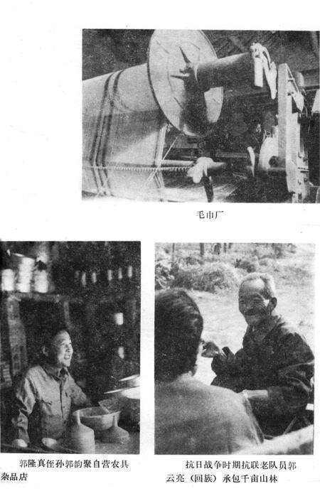 《邯郸地区民族志》.pdf电子版_河北省志预览图3