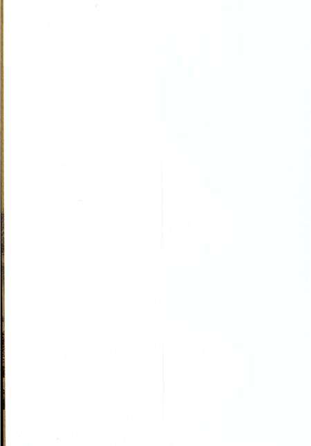 《石柏村志（鹿泉）》.pdf电子版_河北省志预览图1