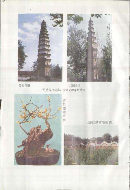 《河南省鄢陵县地名志》.pdf电子版_河南省志预览图5