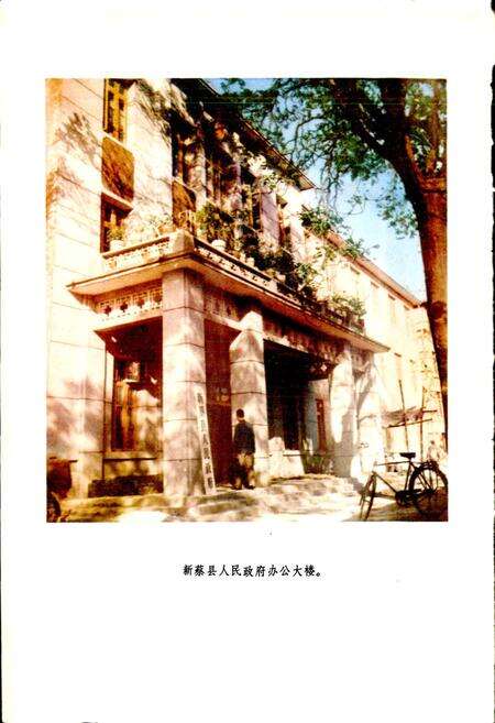 《河南省新蔡县地名志》.pdf电子版_河南省志预览图3